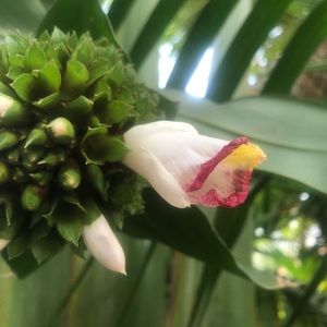 Meet your Posher, Becca